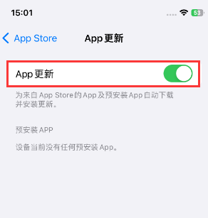 泸定苹果15维修中心如何让iPhone15APP自动更新