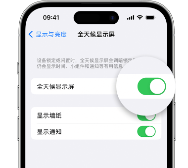 泸定苹果15预约维修分享iPhone15如何设置全天候显示屏幕可见 